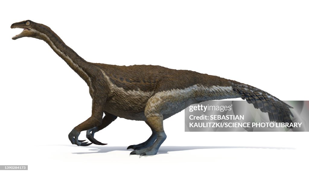 Therizinosaurus, illustration