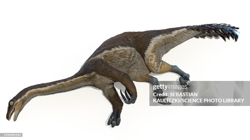 Therizinosaurus, illustration