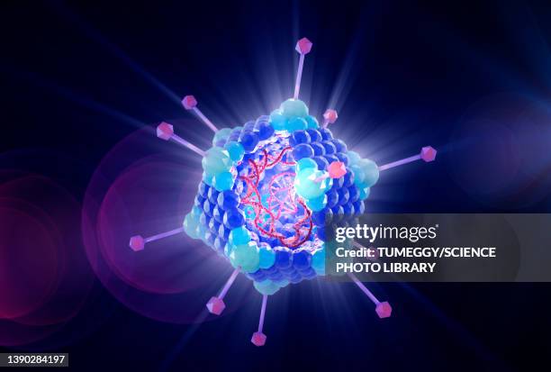 ilustrações de stock, clip art, desenhos animados e ícones de adenovirus structure, illustration - adenovírus