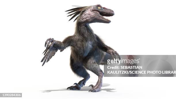 velociraptor, illustration - dromaeosauridae 幅插畫檔、美工圖案、卡通及圖標