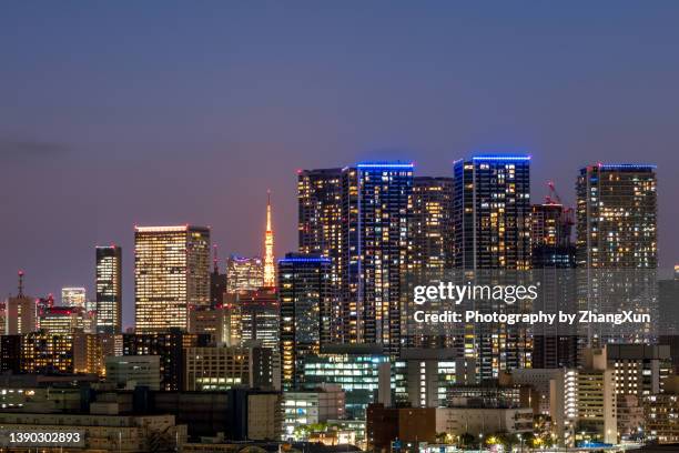 tokyo skyline at night. - 東京湾 ストックフォトと画像