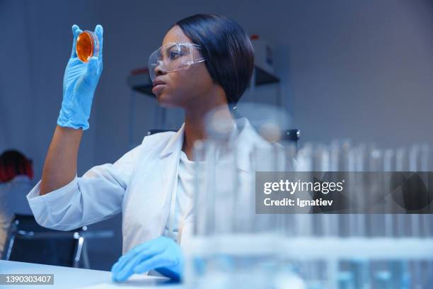 a young beautiful scientist works with petri dish with bacterial growth in a modern laboratory - virology stock pictures, royalty-free photos & images