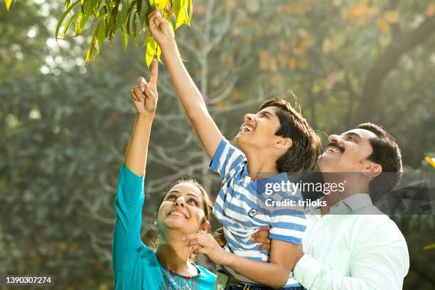 happy family with getting lifted by his father and reaching out to pick the green leaves of a tree - india couple lift stock pictures, royalty-free photos & images