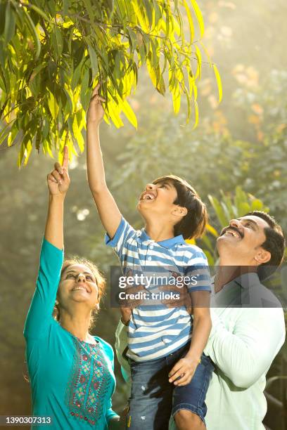 happy family with getting lifted by his father and reaching out to pick the green leaves of a tree - india couple lift stock pictures, royalty-free photos & images