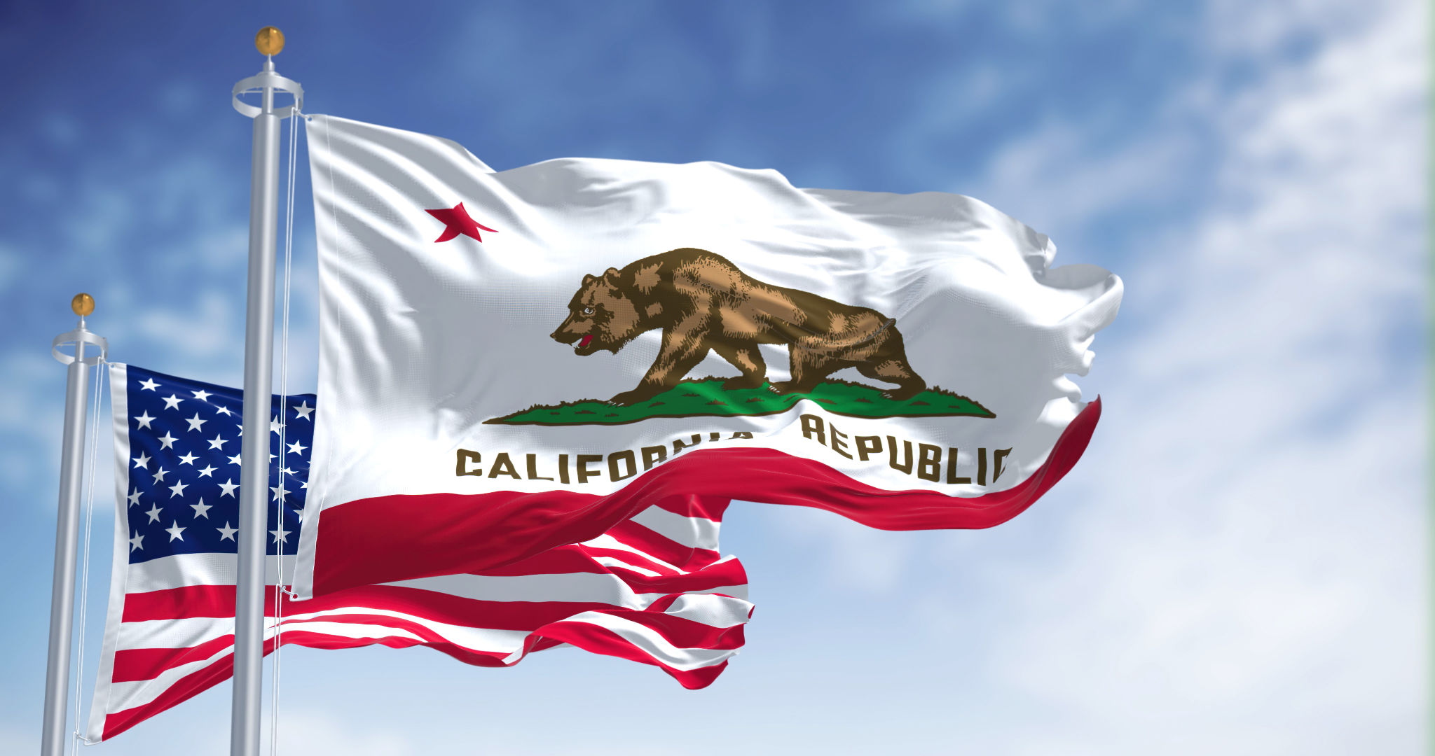 california government contracts