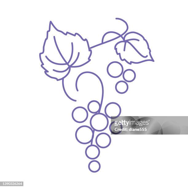 winery grapes thin line icon on a transparent background - wine logo stock illustrations