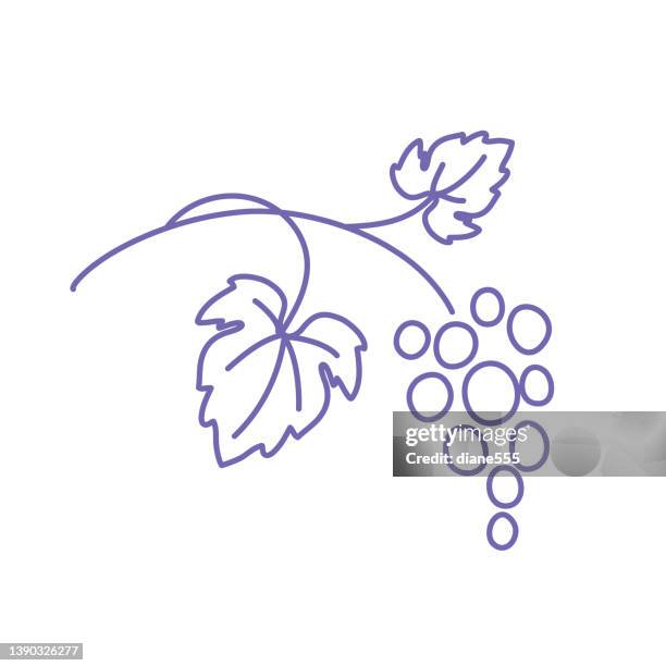 winery grapes thin line icon on a transparent background - wine logo stock illustrations