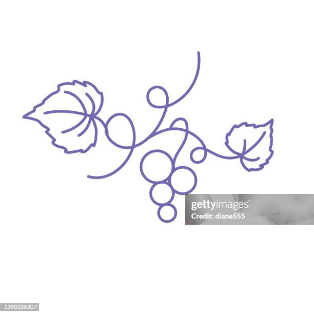 winery grapes thin line icon on a transparent background - wine logo stock illustrations