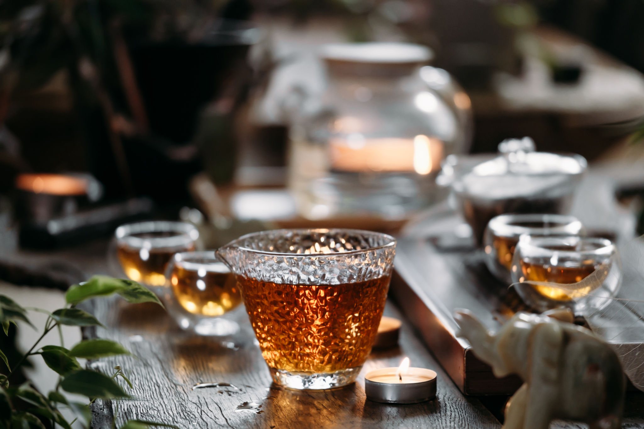 borosilicate glass teaware with hot herbal tea. glass teaware benefits borosilicate glass teaware with hot herbal tea. glass teaware benefits