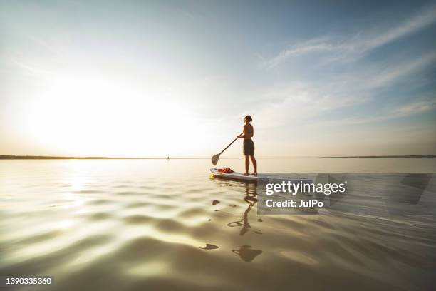 young woman swimming on sup boards alone at sunset - remo em pé imagens e fotografias de stock