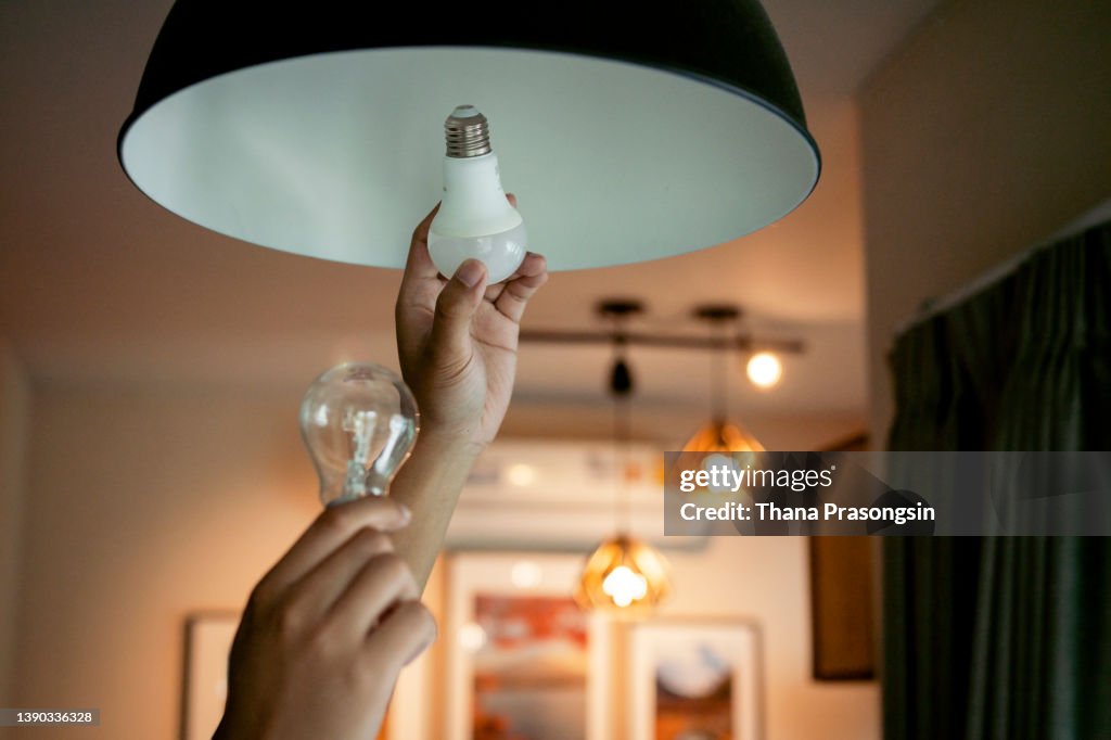 Comparing regular and energy-saving lightbulb