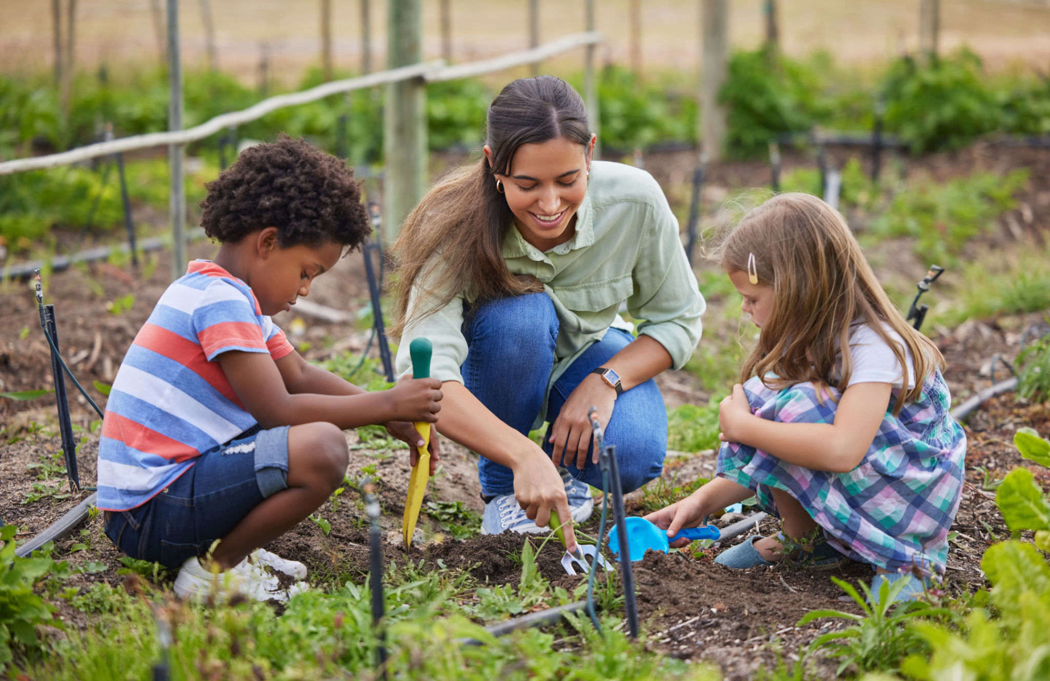 farm education