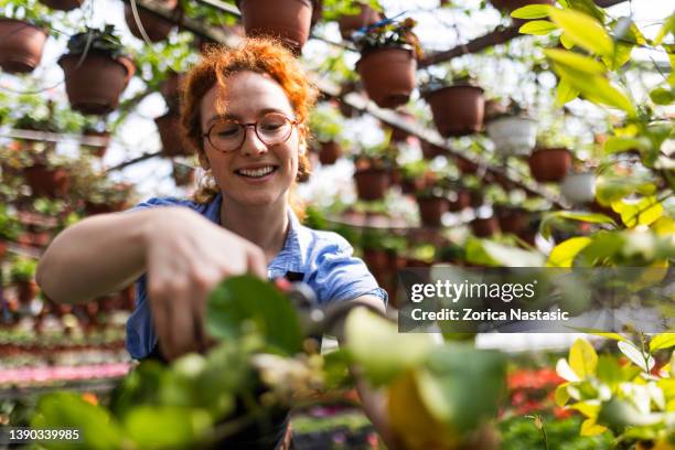 young redhead woman gardener working in a greenhouse - ornamental garden stock pictures, royalty-free photos & images