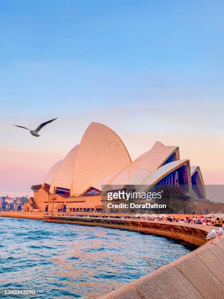 beautiful opera house view at dusk, australia - sydney dawn stock pictures, royalty-free photos & images