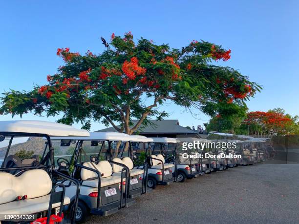 row of golf buggies in hamilton island, australia - hamilton island stockfoto's en -beelden
