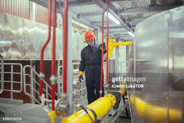 a senior heating plant worker performs a regular inspection of the heating system. - district heating stock pictures, royalty-free photos & images