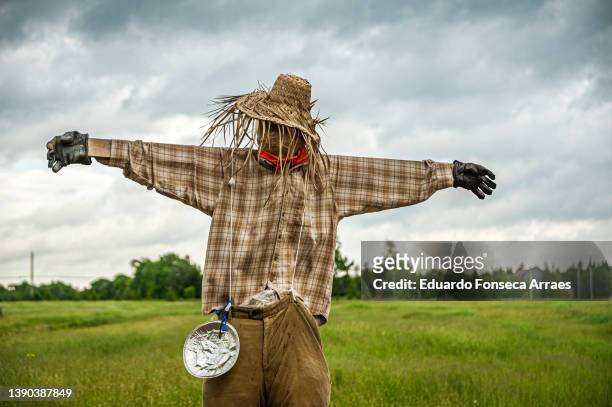 a scarecrow watching over a farm in the eastern townships regions, against an overcast sky - vogelverschrikker stockfoto's en -beelden