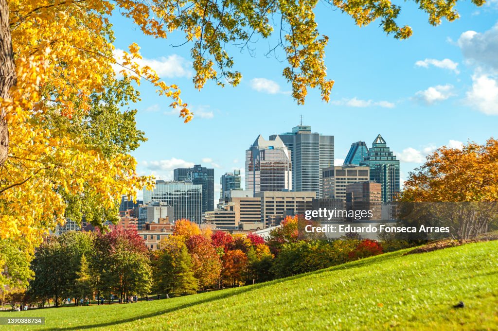 A public park during the autumn leaf color change and buildings in downtown Montreal on the background