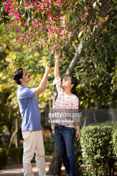 couple plucking flower from tree at park - abundance stock pictures, royalty-free photos & images