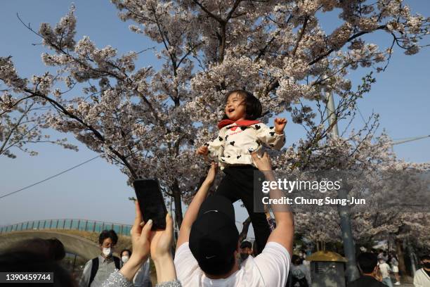 People walk beneath cherry blossoms near the national assembly on April 09, 2022 in Seoul, South Korea. Seoul's famous Yeouiseoro street is open for...