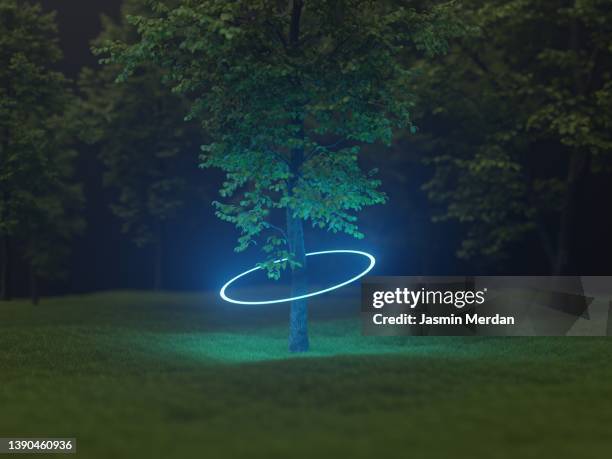 blue neon circle light between forest trees with futuristic visual effect - digitally generated image forest stock pictures, royalty-free photos & images