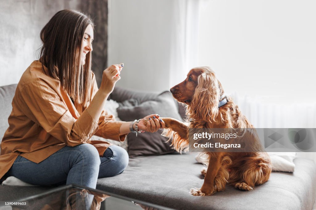 Eine schöne junge Frau gibt ihrem Hund Leckereien