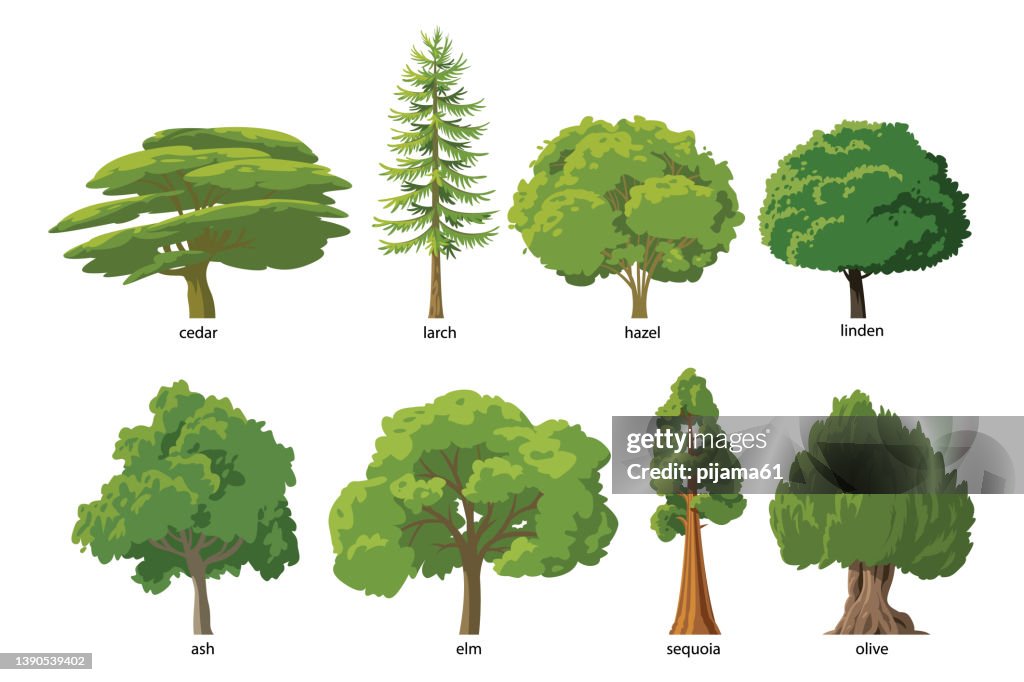 Flat green trees vector illustration set