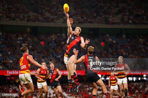 Andrew Phillips of the Bombers contests the ruck during the round four AFL match between the Essendon Bombers and the Adelaide Crows at Marvel...