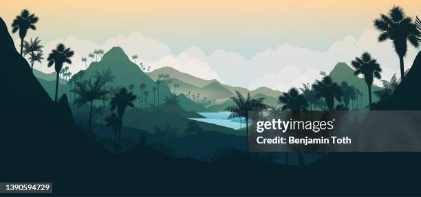 tropical island coast sunset - outdoor background stock illustrations