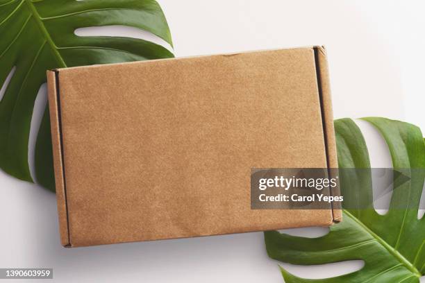 brown cardboard box on  white background.with monstera leaves.top view - cardboard box top view stock pictures, royalty-free photos & images