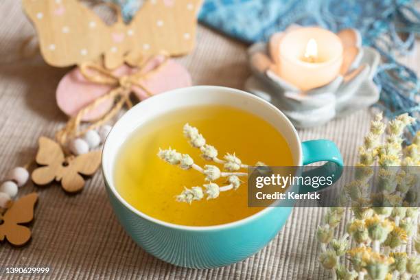 tea in a turquoise cup with decoration - greek mountain tea, herbal tea, white tea - chá branco imagens e fotografias de stock