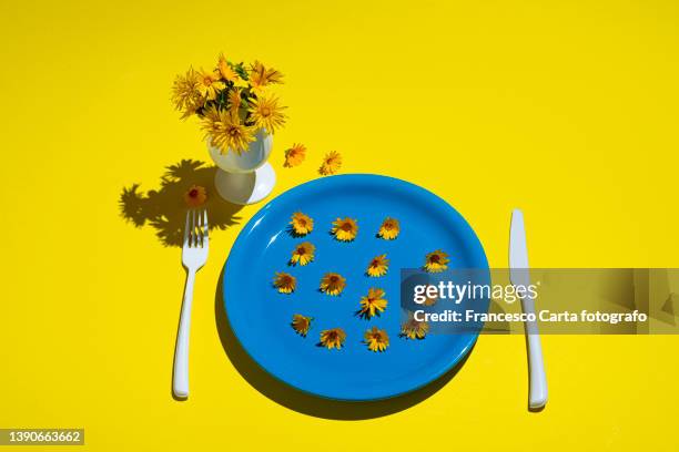 healthy eating concept - blue plate stock pictures, royalty-free photos & images