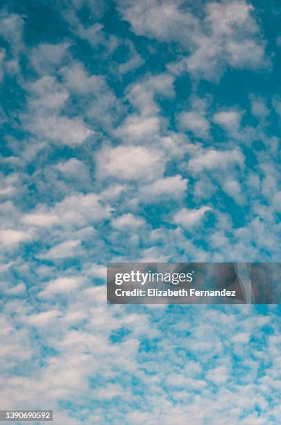 white clouds in soft blue sky - 巻積雲 ストックフォトと画像