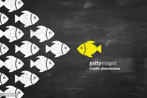 ilustrações de stock, clip art, desenhos animados e ícones de leadership concepts with fishes on blackboad background - talent team coaching