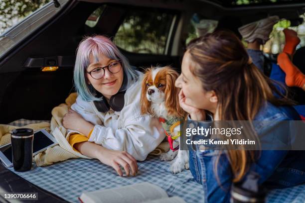 Família feliz e seu cachorro indo em uma viagem de carro na primavera.