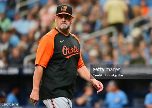 Brandon Hyde of the Baltimore Orioles looks on after relieving Tyler Wells in the second inning against the Tampa Bay Rays at Tropicana Field on...