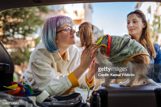 close up of a young family and their dog packing up for a road trip - multi colored boot stock pictures, royalty-free photos & images
