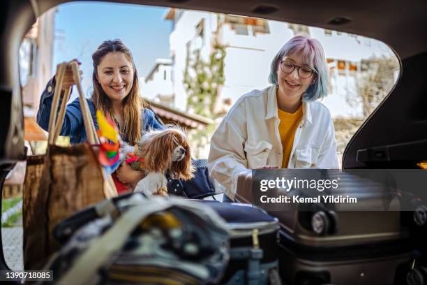 primer plano de una familia joven y su perro empacando para un viaje por carretera - dog turkey fotografías e imágenes de stock