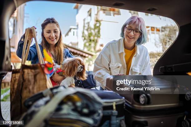close up of a young family and their dog packing up for a road trip - packing car trunk bildbanksfoton och bilder