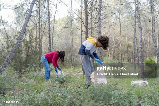 family cleaning trash in the forest - かがむ 人 横 ストックフォトと画像
