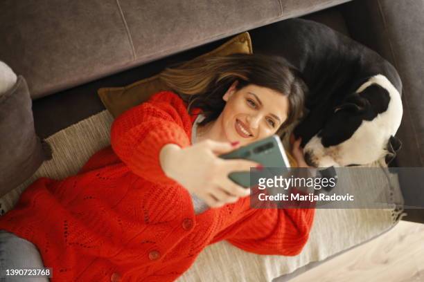 women work at home pet sitter - cat selfie stock pictures, royalty-free photos & images