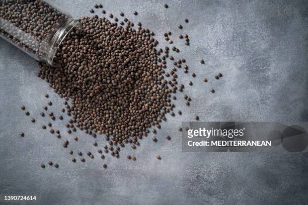 green lentils dried legumes on a glass jar spread on gray stone background copy space - green lentil stock pictures, royalty-free photos & images