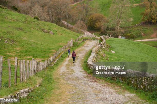 mother and daughter walking among beautiful green meadows, getting to know the farming village during their vacation, relaxing and forgetting the hectic city life. - navarra - fotografias e filmes do acervo