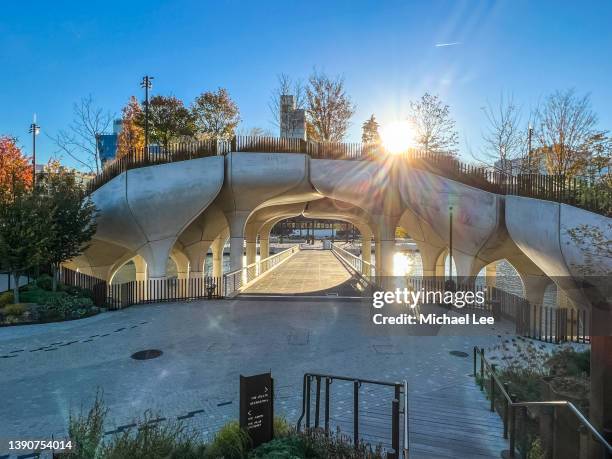 early morning sun shining into little island park in new york - new york basks in sunny indian summer day stock-fotos und bilder