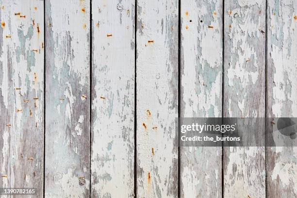 old wooden wall with peeled white paint and rusty tacker needles - tacler stock pictures, royalty-free photos & images