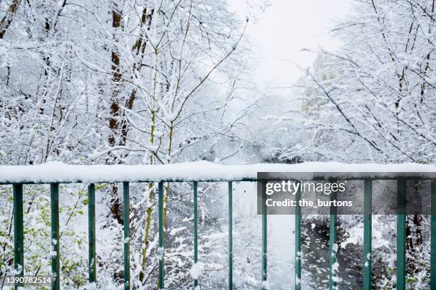 snow covered railing and trees at a river - geländer stock-fotos und bilder
