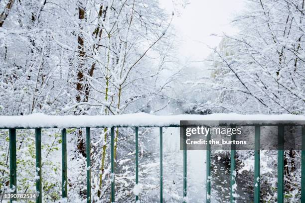 snow covered railing and trees at a river - railings stock pictures, royalty-free photos & images