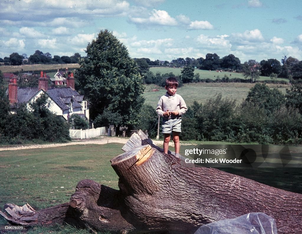 Young boy standing on tree trunk