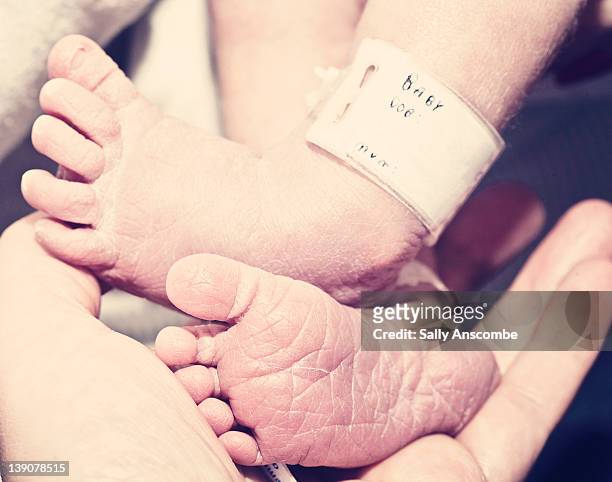 newborn baby feet with hospital tag - name tag stock-fotos und bilder
