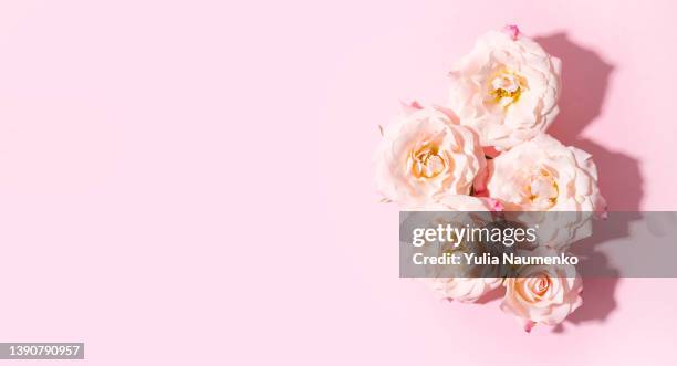 rose flowers on pink background. valentine's day, mother's day and women's day concept. - happy birthday flowers images stock pictures, royalty-free photos & images